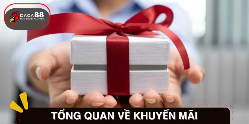 Thông tin cơ bản về chính sách khuyến mãi